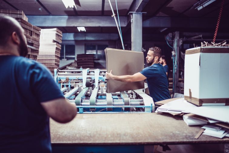 Cardboard manufacturing factory workers